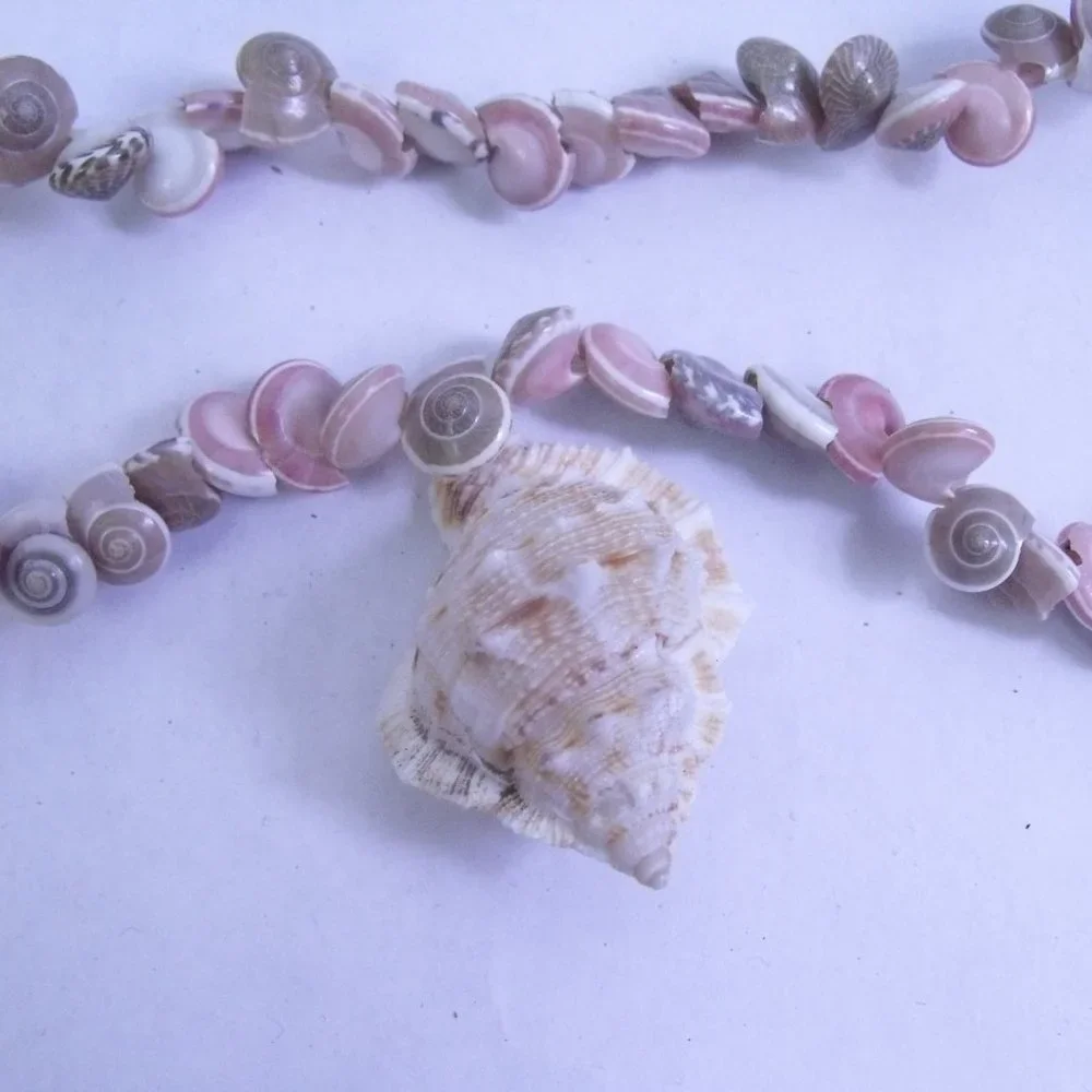 Seashell Umbonium Shell Garland